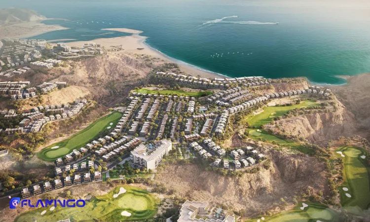 How to enter the Omani market?