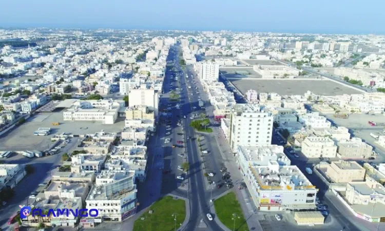 Return on investment and market trends in 2025​