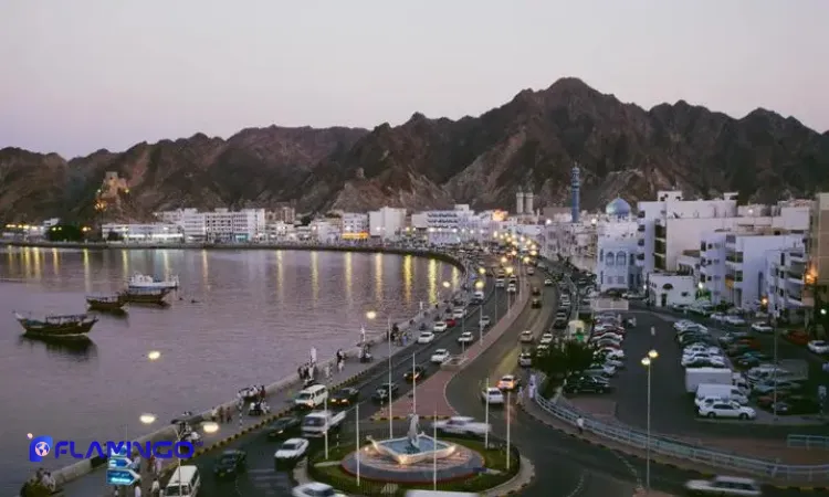 انواع روش‌های سرمایه‌گذاری در عمان چیست؟​