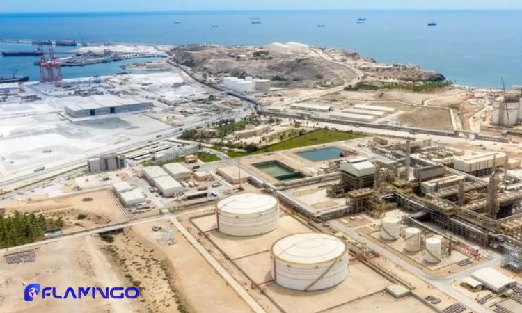 Key Investment Opportunities in free zone​