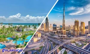 تفاوت ثبت شرکت در عمان و دبی