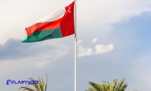 Types of Companies in Oman