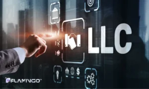 Limited Liability Company in Oman