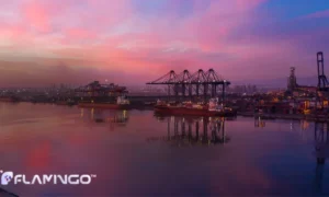 سرمایهگذاری در منطقه آزاد صحار عمان | مزایا، فرصتها و شرایط 2025