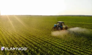 Agriculture & Fisheries Investment in Oman: Opportunities, Incentives & 2026 Outlook