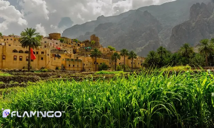 چرا عمان مقصد مناسبی برای سرمایه‌گذاری کشاورزی در 2026 است؟
