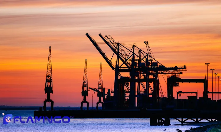 Success Stories & Case Examples​