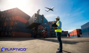 مقایسه سرمایه‌گذاری لجستیک در عمان و امارات | کدام بهتر است؟