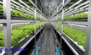 چرا سرمایه‌گذاری در کشاورزی عمان در 2026 یک فرصت طلایی است؟