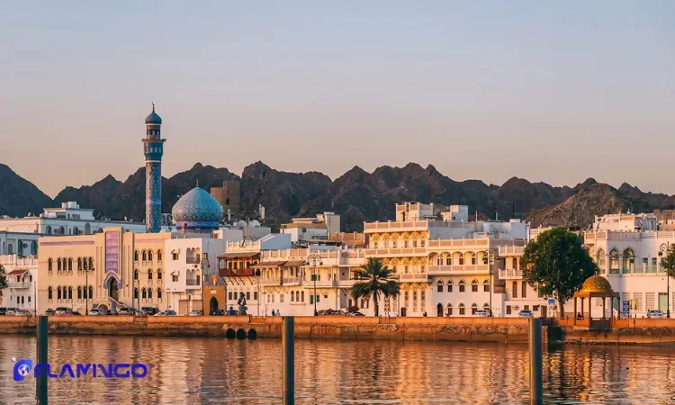 Common problems for registering company in oman  Common problems for registering company in oman 