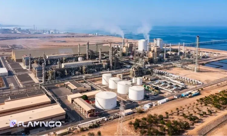 چالشها و ریسکهای سرمایهگذاری در صنعت نفت عمان چالشها و ریسکهای سرمایهگذاری در صنعت نفت عمان