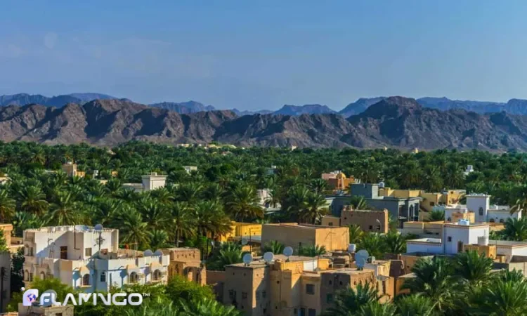 معرفی بهترین شهرها برای سرمایهگذاری در عمان معرفی بهترین شهرها برای سرمایهگذاری در عمان