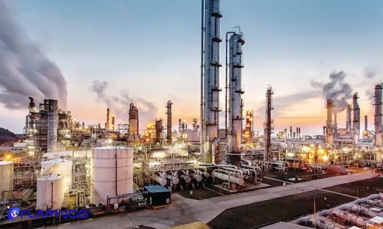 Ownership and Licensing Regulations for Foreign Investors​