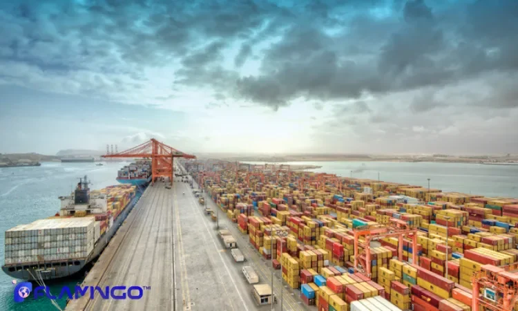 بهترین منطقه آزاد برای سرمایه‌گذاری در عمان کدام است؟​