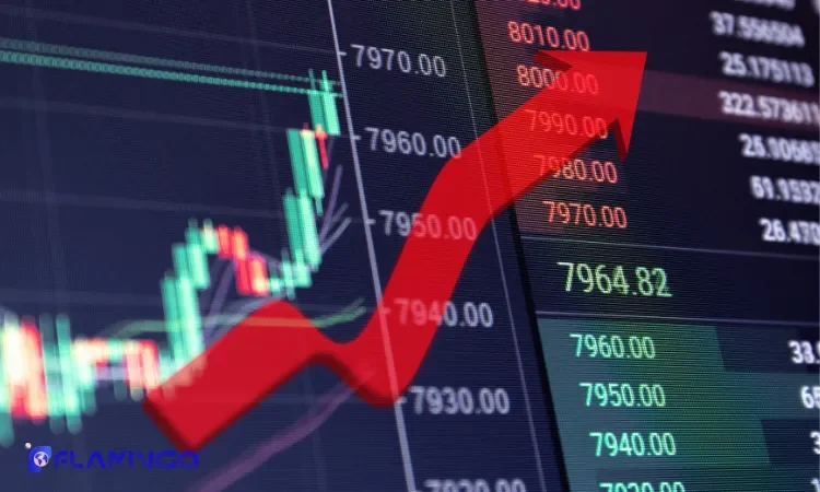 Benefits of Investing in Oman Stock Market​