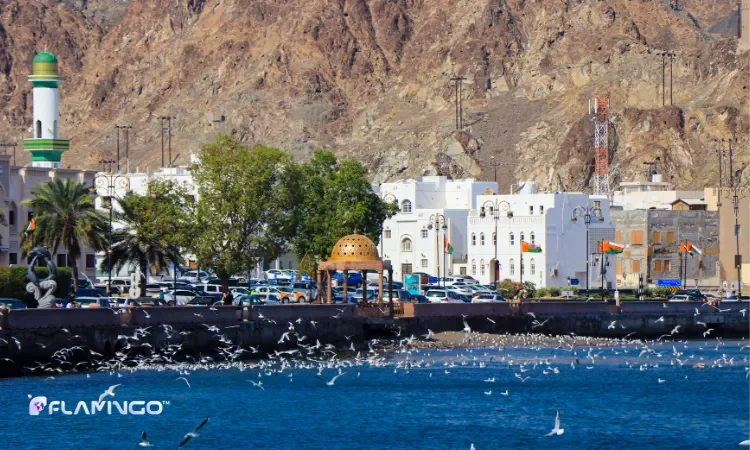 برترین پروژه‌های عمرانی برای سرمایه‌گذاری در عمان​