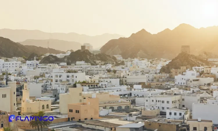 چرا سرمایه‌گذاری در پروژه‌های عمرانی و صنعتی عمان اهمیت دارد؟​