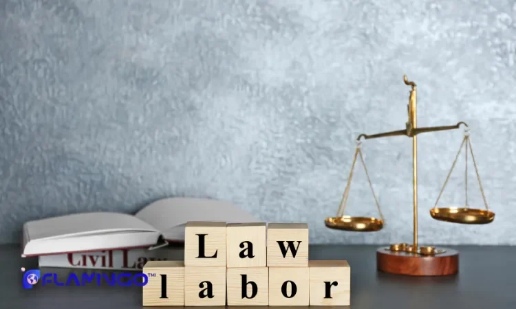 حداقل حقوق و مزایا برای کار در عمان​