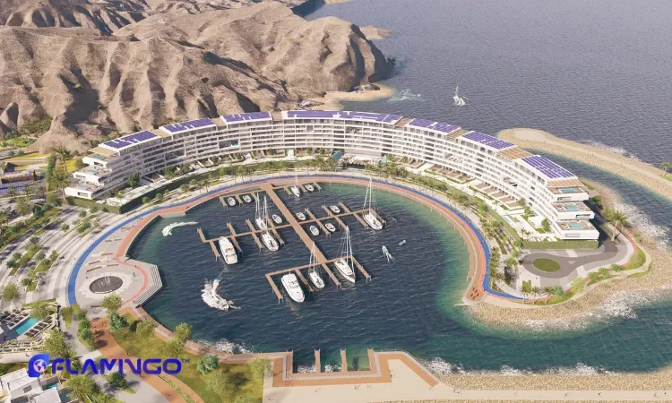 Impact of Oman Vision 2040 on Investors​