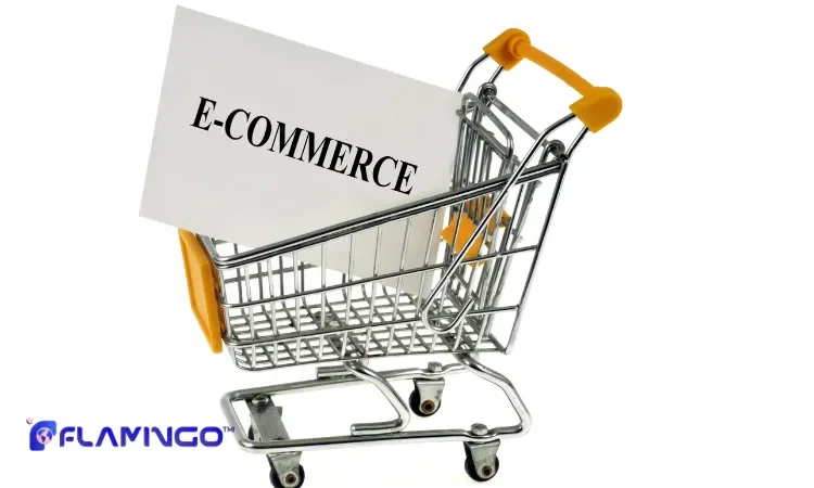 Step-by-Step Process to Register Your E-commerce Business​