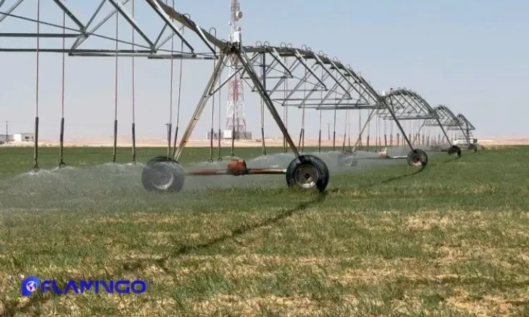 فرصت‌های همکاری و توسعه آینده ​